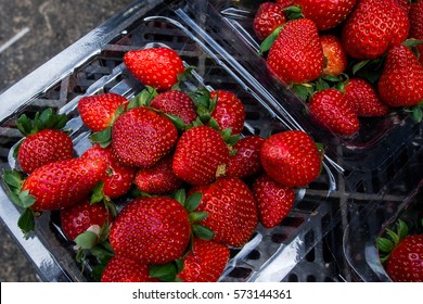 Fresh, ripe, juicy strawberries