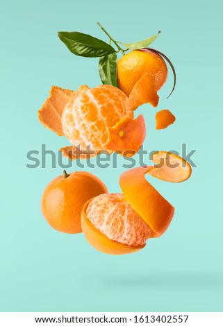 Fresh ripe mandarine with leaves falling in the air. Cut and whole mandarine isolated on turquoise background. Food levitation concept. High resolution image