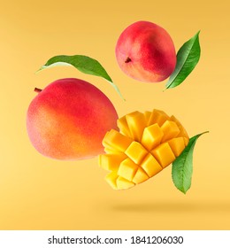 Fresh ripe mango with leaves falling in the air isolated on yellow background. Food levitation concept. High resolution image - Shutterstock ID 1841206030