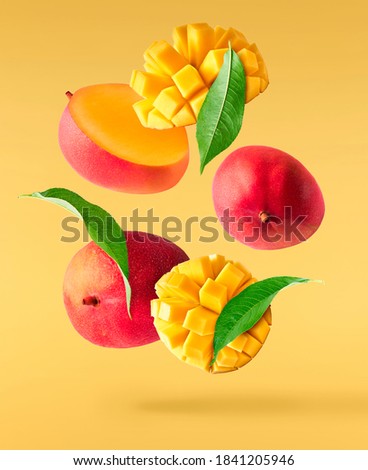 Fresh ripe mango with leaves falling in the air isolated on yellow background. Food levitation concept. High resolution image