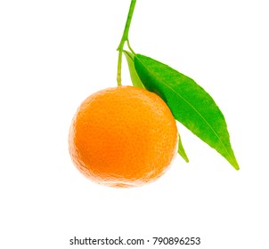 Fresh Ripe Orange With Leaves, Hanging On A Branch, Isolated On White.