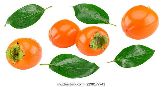 fresh ripe persimmons with green leaves isolated on white background. clipping path