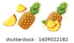 Fresh ripe pineapple fruit, pineapple fruit slices isolated. Juicy fruit design elements composition with focus stacking, white background. Tasty raw whole tropical fruit, healthy nutrition concept