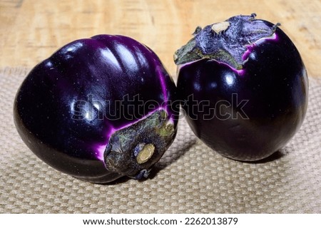 Fresh ripe purple globe Violetta eggplants vegetables from Florence ready to cook, healthy Italian food