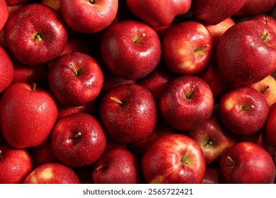 Fresh ripe red apples as background, top view