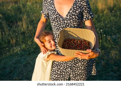 Fresh Ripe Red Berries Of Wild Strawberries In A Basket In The Hands Of A Woman In A Summer Dress In The Countryside In The Sunlight. Gifts Of Nature, Summer Vitamins, Berry Picking, Harvest.