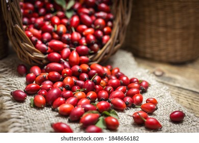 Fresh ripe rose hips in basket on the rustic background, close-up photo. Healthy nutrition concept.