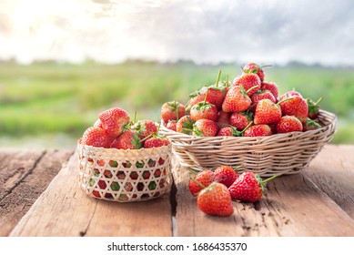 fresh ripe strawberries in basket over wooden floor with green field background