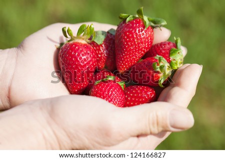 Similar – Image, Stock Photo strawberry season Food