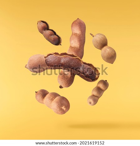 Fresh ripe tamarind fruit falling in the air isolated on yellow background. High resolution image. Food levitation concept