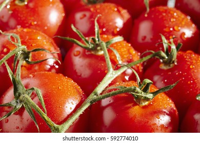 Fresh, Ripe, Whole Campari Tomatoes On Their Stems