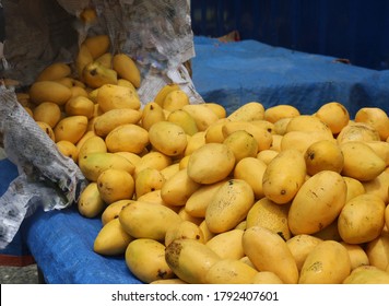 1,714 Philippines mango Images, Stock Photos & Vectors | Shutterstock