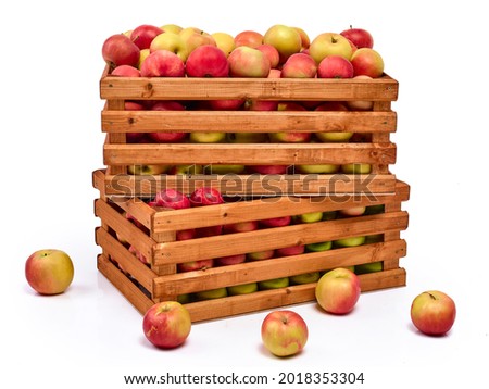 Fresh ripe yellow and red apples in wooden boxes, isolated on a white background