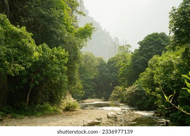 fresh river and the green forest - Powered by Shutterstock