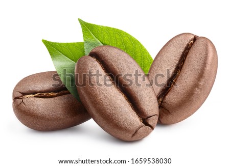 Fresh roasted coffee beans with leaves, isolated on white background