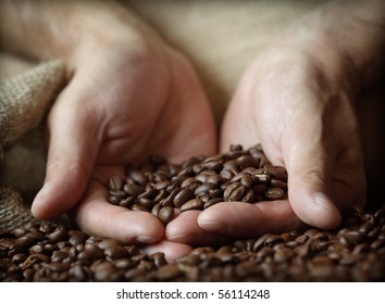 Fresh roasted coffee beans pouring out of cupped hands into a burlap sack - Powered by Shutterstock