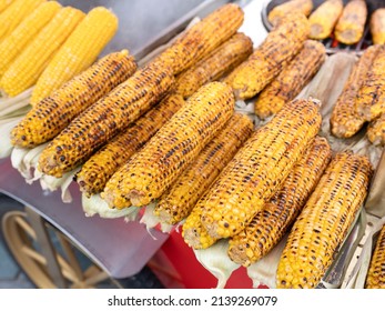 Fresh roasted or grilled corncobs. Grilled Corn for sale on the street.