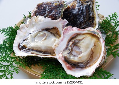 7,814 Oysters on rock Images, Stock Photos & Vectors | Shutterstock