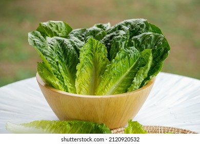 Fresh Romaine Lettuce Or Green Cos Lettuce  In Wooden Bowl On Background Green Bokeh.