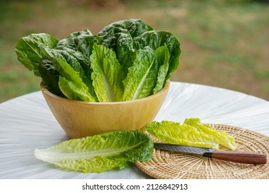 Fresh Romaine Lettuce Or Green Cos Lettuce  In Wooden Bowl On Background Green Bokeh.