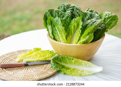 Fresh Romaine Lettuce Or Green Cos Lettuce  In Wooden Bowl On Background Green Bokeh.