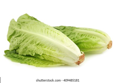 Fresh Roman Lettuce On A White Background