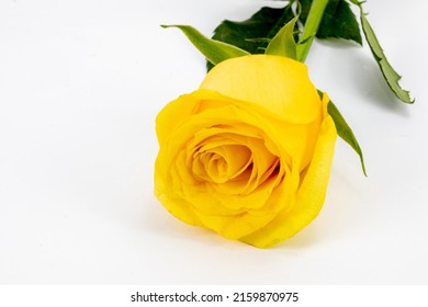 2,015 Flores rosas Stock Photos, Images & Photography | Shutterstock