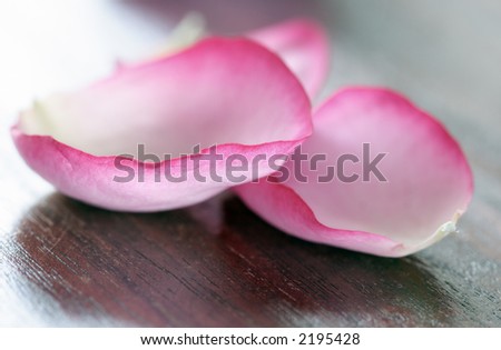 fresh rose petals on wooden texture