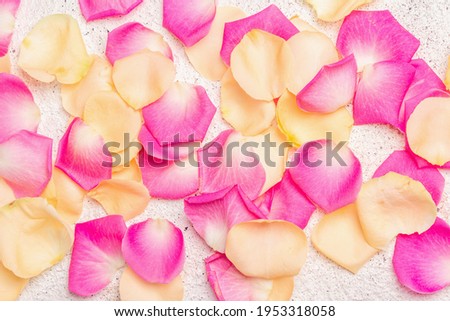 Similar – scattered petals of pink peony