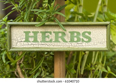 Herb Garden Signs Images Stock Photos Vectors Shutterstock