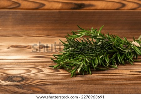 Fresh rosemary herb on a brown tree.Bunch of fresh fragrant rosemary. Spices and herbs for meat and fish. Recipe. Culinary concept. Space for text. Space for copy. Flat lay.