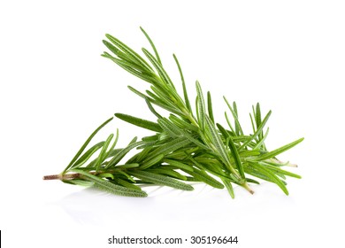 Fresh Rosemary Herb Set for cooking and medicine isolated over a white background