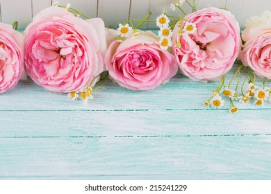 Postcard Daisy Flowers Fresh Roses On Stock Photo 222793129 | Shutterstock