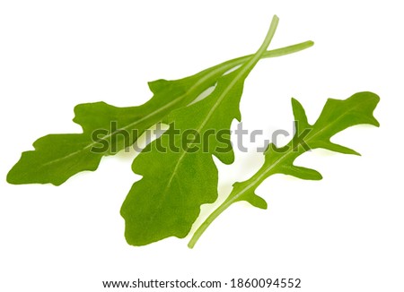 fresh rucola isolated on white background [[stock_photo]] © 
