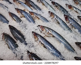 Fresh Saba Mackerel Fish In Pile Of Ice