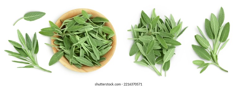 fresh sage herb in wooden bowl isolated on white background. Top view. Flat lay - Powered by Shutterstock