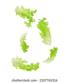 Fresh salad green lettuce leaves falling in the air isolated on white background. - Shutterstock ID 2107765316