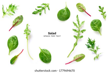 Fresh salad leaves isolated on white background. Rocket salad, mizuna, spinach and chard. Ingredients for vegetarian meal - Shutterstock ID 1779694670