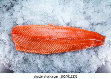 Fresh Salmon Fillet On Ice.