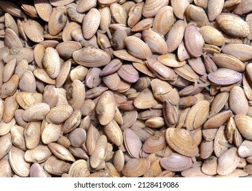 Fresh Saltwater Mussels Placed For Sale In Seafood Market, Background Top View Fresh Sea Food, Fish Pattern