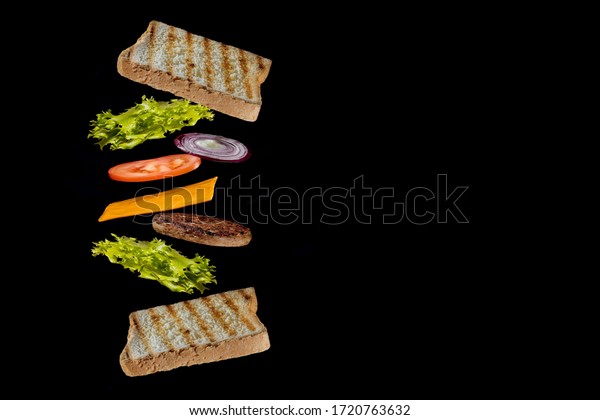 Fresh sandwich
with flying ingredients isolated on black background. Copyspace for
text, high resolution
image.