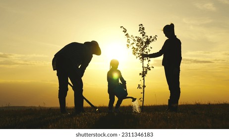 fresh sapling tree sunset, young roots, soil earth, plant garden, silhouette happiness family father mother child, child planting trees, farmer family silhouette sunset, farm, save world, mom dad - Powered by Shutterstock