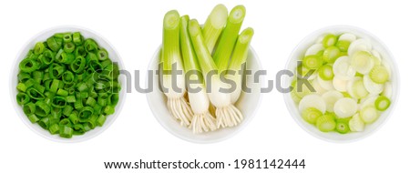 Fresh scallion bulbs and sliced scallions, in white bowls. Green onions, also called spring onions or sibies, a vegetable with mild onion taste, can be eaten raw or cooked. Close-up, macro food photo.