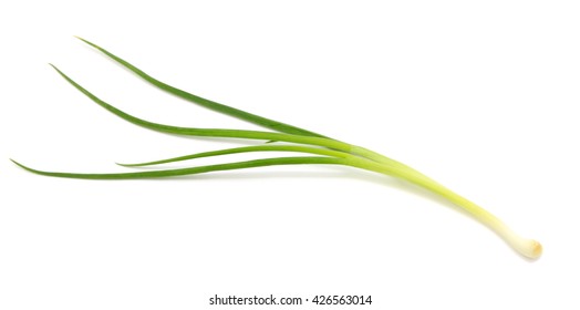 Fresh Scallion Isolated On White Background