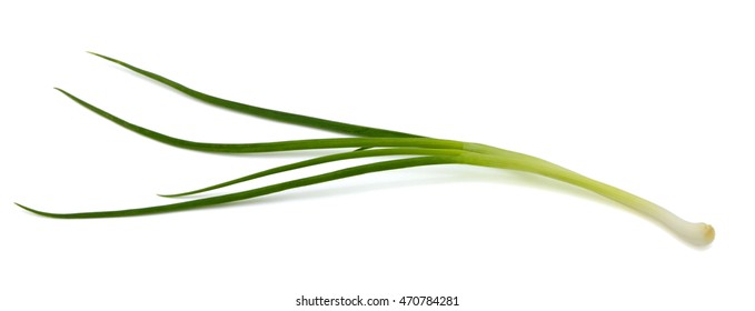 Fresh Scallion Isolated On White Background