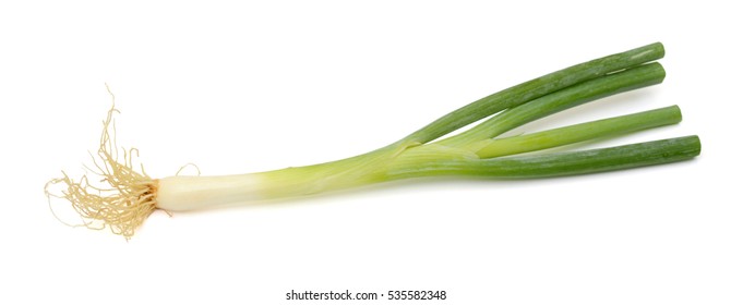 Fresh Scallion Isolated On White Background