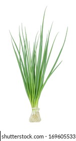 Fresh Scallions Isolated On A White Background