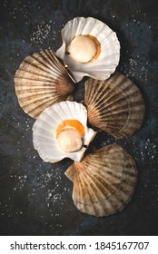 Fresh scallops on a dark rustic background with sea salt crystals. Mediterranean Seafood Cuisine