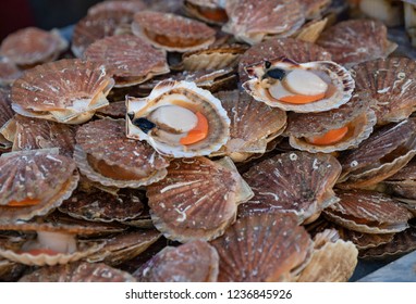 Fresh Scallops On A Seafood Market At Dieppe France