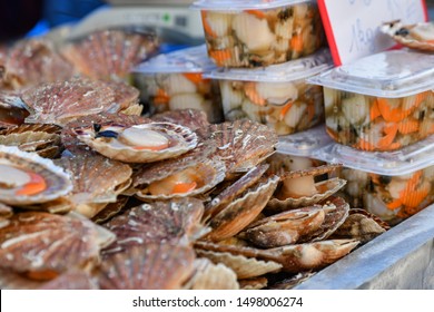 Fresh Scallops On A Seafood Market At Dieppe France